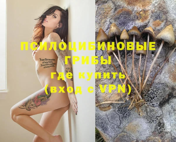 первитин Беломорск
