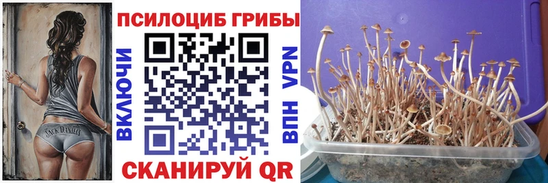 Псилоцибиновые грибы мухоморы  где можно купить наркотик  Севск 
